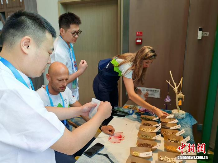 成都世运村中医药体验走热：香囊、推拿与无创